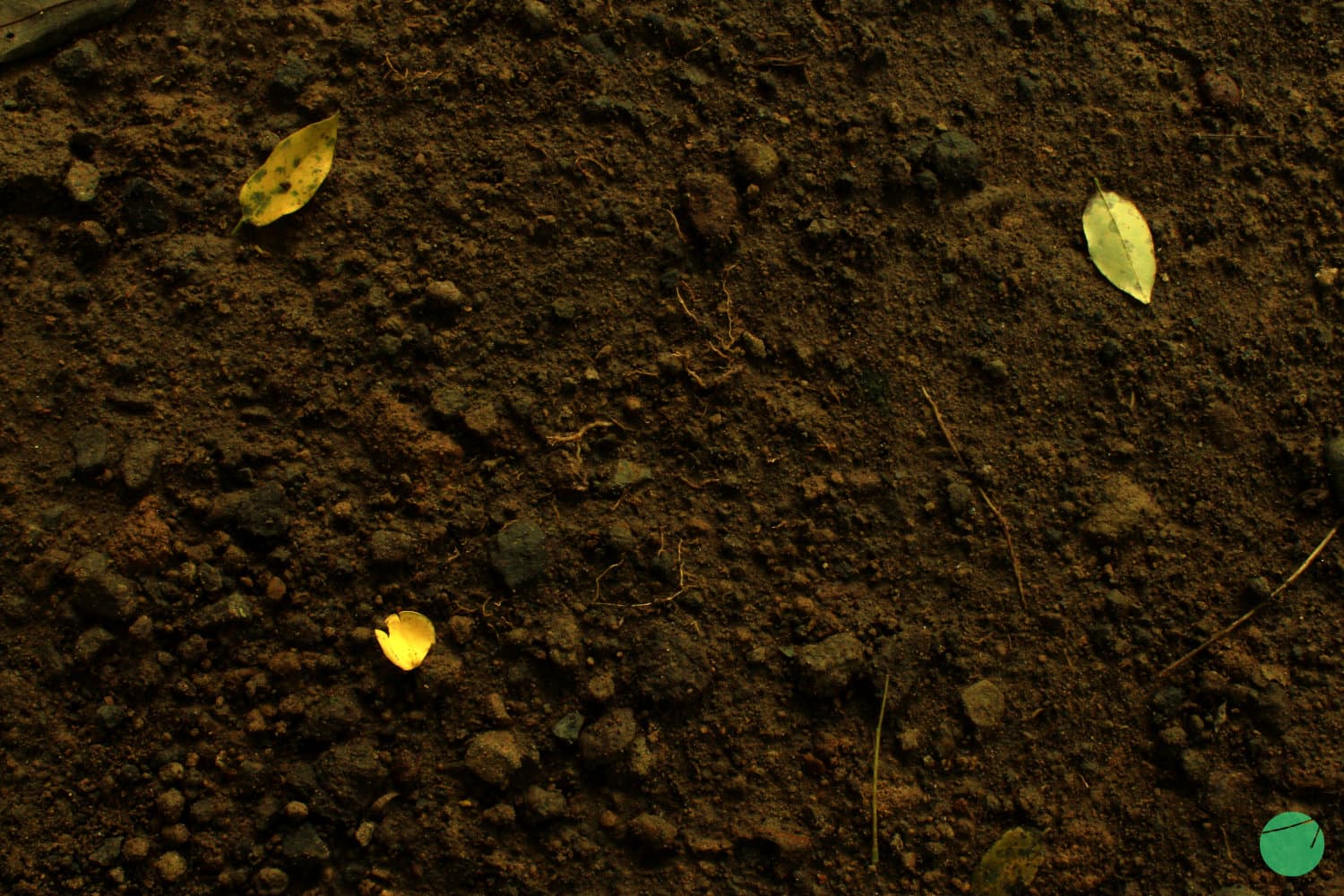 Cover Image for Bagaimana Cara Menyuburkan Tanah?