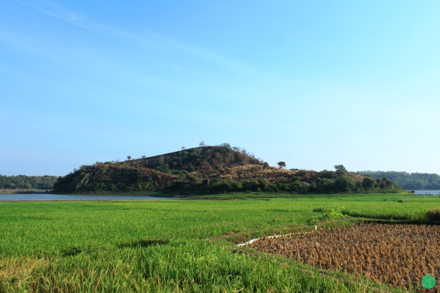 Cover Image for Sejarah Danau Setu Patok Mundu Cirebon