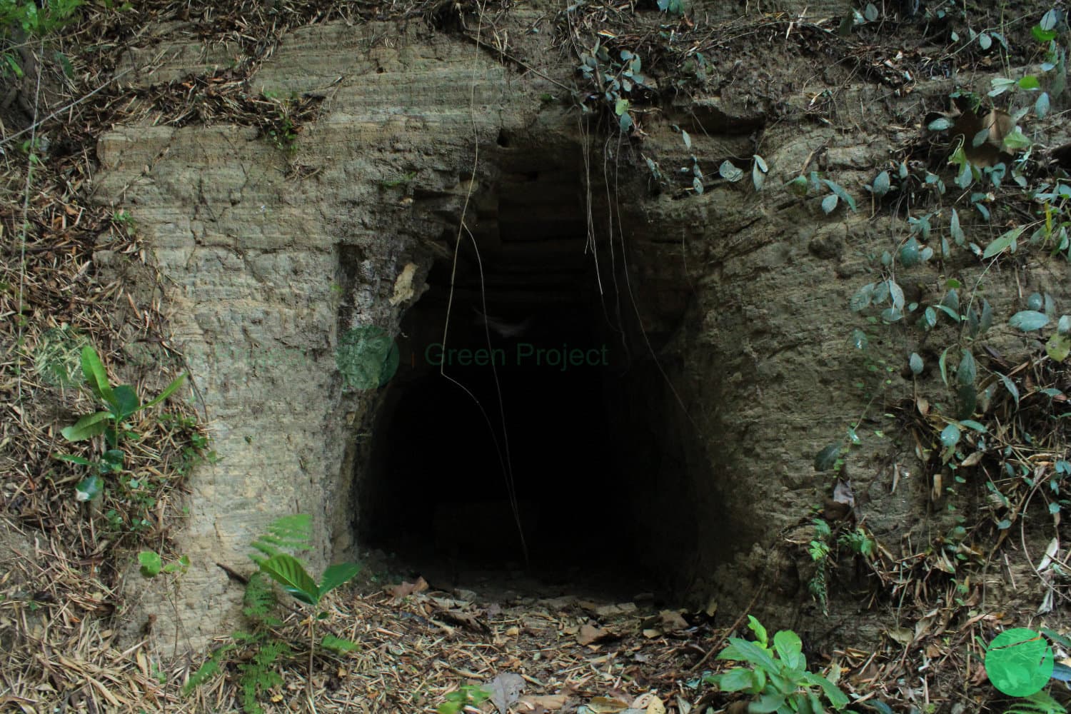 Cover Image for Gua Jepang di Danau Setu Patok Cirebon